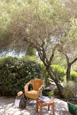a wicker chair and a table in front of a tree at Villa MARINARCA sitew Porto Vecchio Marina di Fiori Vue mer piscine chauffée Clim plage à pied tennis in Porto-Vecchio