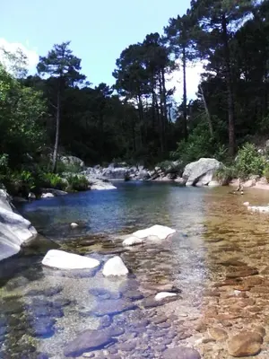 a river with rocks in the water and trees at Casapiana 7 in San-Gavino-di-Carbini