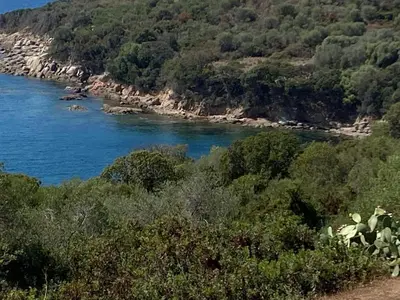 a view of a body of water with trees at Villa panoramic - Dream and Suite Lodge in Vico