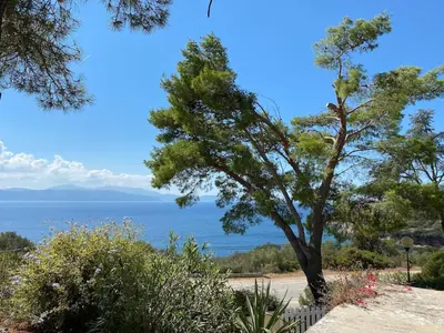 a tree on the side of a road near the ocean at Sagone villa sea view in Vico