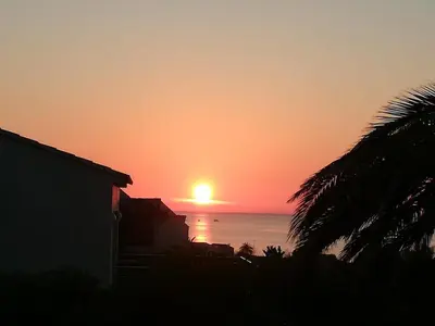 a sunset over the ocean with a palm tree at Villa Abbracciu climatisée avec piscine chauffée et vue mer in Pietrosella