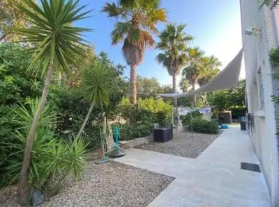 a garden with palm trees and a walk way at Maison bord de mer en Corse in Borgo