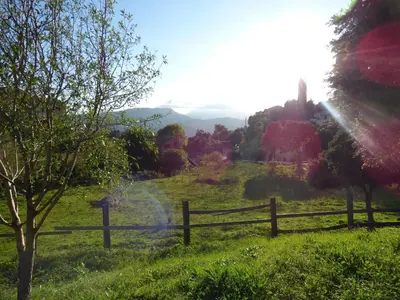 a wooden fence in a field with a tree at Appartement Appietto in Appietto