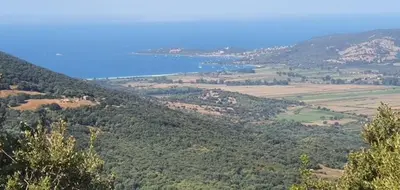 a view of a hill with trees and the ocean at Grande Maison de Village in Sollacaro