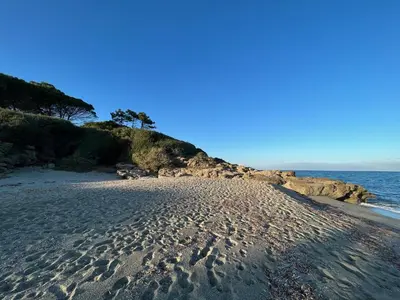 a sandy beach with footprints in the sand at Appartement Jardin de la Mer in Linguizzetta