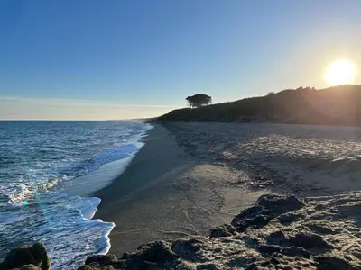 a beach with a tree on a hill next to the ocean at Appartement Jardin de la Mer in Linguizzetta
