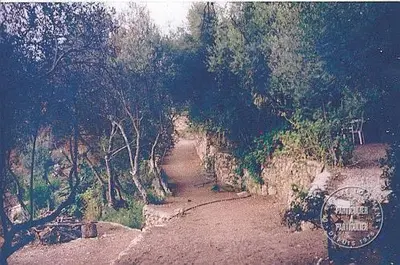 a dirt road with trees on the side of a hill at Villa Pierre Vergerie in Cargèse