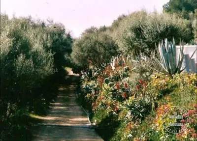 a painting of a garden with flowers and trees at Villa Pierre Vergerie in Cargèse