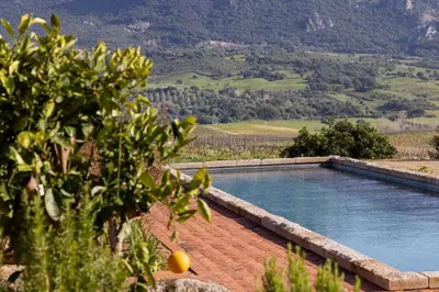 a swimming pool with a view of a mountain at Le Hameau de Saparale in Sartène