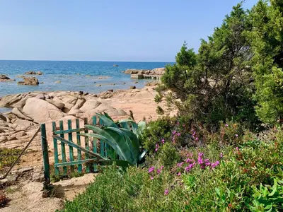 a bench sitting on the beach near the water at Villa Nausicaa in Pietrosella