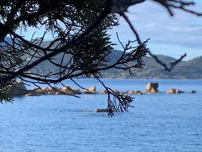 a view of a lake with rocks in the water at Villa Nausicaa in Pietrosella