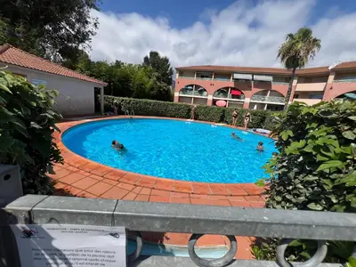 a group of people swimming in a swimming pool at Appart bord de mer avec piscine in San-Nicolao