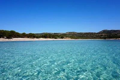 a view from the water of a beach at Appart bord de mer avec piscine in San-Nicolao