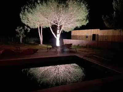 a tree and two benches in a park at night at Villa Casa di sognu in Lecci
