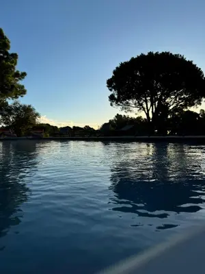 a large body of water with a tree in the background at Villa Casa di sognu in Lecci