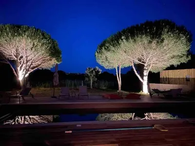 two trees lit up at night next to a pool at Villa Casa di sognu in Lecci