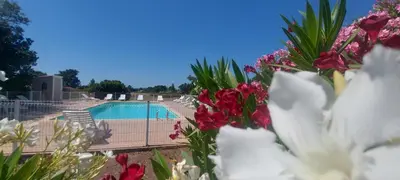 a view of a swimming pool with flowers in the foreground at Porto Vecchio - Résidence RIVIERA- Villa Bonifacio in Lecci