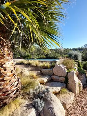 a garden with rocks and a palm tree and a pond at Rondinara Camara - Lecci Lodge in Lecci