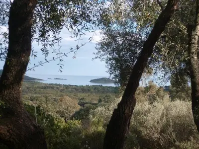 a view of the ocean from between two trees at I Caselli, mini villa Vue Mer dans résidence calme et arborée in Lecci