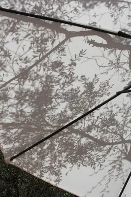 a shadow of a tree on a white umbrella at I Caselli, mini villa Vue Mer dans résidence calme et arborée in Lecci
