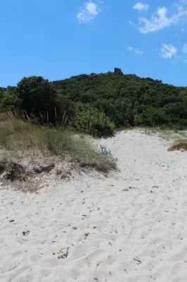 a sandy beach with a hill in the background at I Caselli, mini villa Vue Mer dans résidence calme et arborée in Lecci