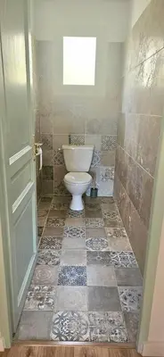 a bathroom with a toilet and a window at Spacieux haut de villa 3 chambres Venaco in Venaco