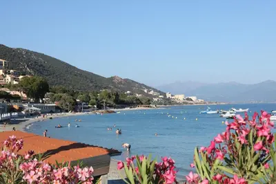 a beach with a bunch of people in the water at Beau studio Routes des Sanguinaires proche de la plage in Ajaccio