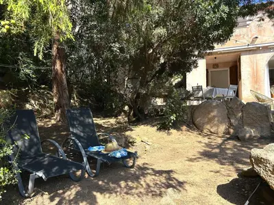 two chairs sitting in a yard under a tree at Mini-villa à 5 minutes de la plage de Santa Giulia in Porto-Vecchio