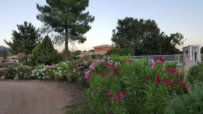 a garden with pink and white flowers on a dirt road at Porto Vecchio - Résidence RIVIERA- Villa Santa Giulia in Lecci