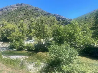 a group of trees in front of a mountain at Charmant T2 à la campagne in Riventosa