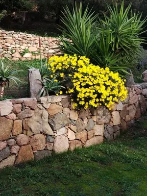 a stone retaining wall with yellow flowers on it at Villa individuelle avec jardin in Sartène