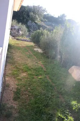 a view of a yard with grass and trees at Villa ALMA in Porto-Vecchio