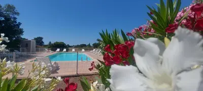 a view of a swimming pool with pink and white flowers at Porto Vecchio - Résidence RIVIERA - Villa Pinarello in Lecci