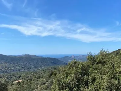a view of auliculiculiculiculiculiculiculiculiculiculiculic at L'Olivella in Lama