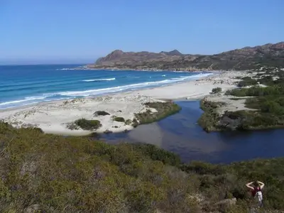 a view of a beach next to the ocean at L'Olivella in Lama