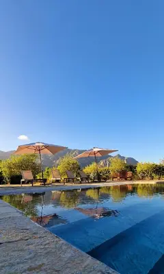 a swimming pool with chairs and umbrellas in the background at La tonnelerie, belle villa pour 9 personnes au coeur d'un vignoble avec piscine in Sartène