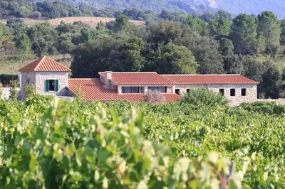 a building with red roofs in a field at Les anciennes écuries, belle villa pour 12 personnes au coeur d'un vignoble avec piscine in Sartène