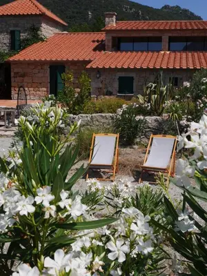 two chairs in a garden with flowers in front of a house at Les anciennes écuries, belle villa pour 12 personnes au coeur d'un vignoble avec piscine in Sartène