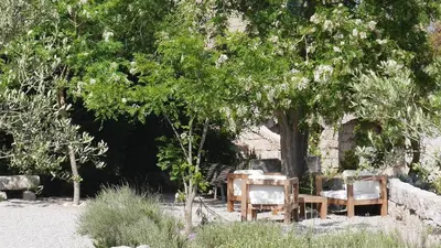 a table and chairs sitting under a tree at Le chai, belle villa pour 13 personnes au coeur d'un vignoble avec piscine in Sartène