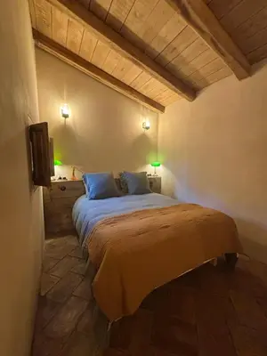 a bedroom with a large bed in a room at Bergerie CASEDDU U CHJASSU in Viggianello