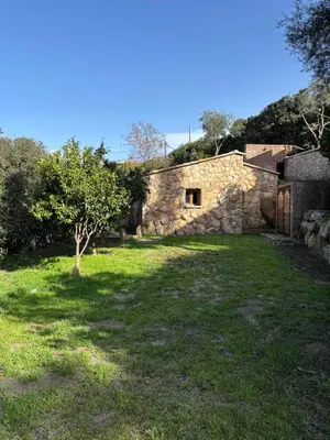a stone building with a tree in the grass at Bergerie CASEDDU U CHJASSU in Viggianello