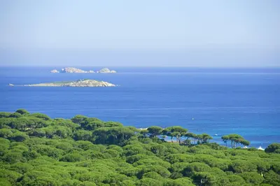 an island in the ocean with trees and water at Chambres d'Hôtes Littariccia in Porto-Vecchio