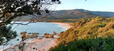 a group of animals on a beach near the water at Alba rossa in Serra-di-Ferro