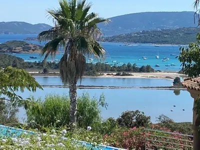 a palm tree sitting next to a body of water at Villa eden blue F4 3 in Zonza