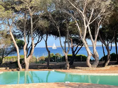 a swimming pool with trees and a sail boat in the water at La Maison sur la plage - Les pieds dans l'eau in Bonifacio