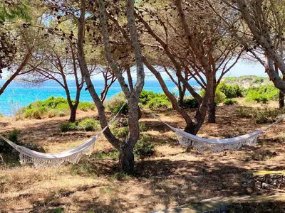 two hammocks hanging from trees on a beach at La Maison sur la plage - Les pieds dans l'eau in Bonifacio