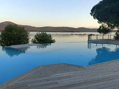 a group of animals grazing in a field with trees at Appt neuf 2-4 pers avec loggia - Piscine chauffée - Bord de mer - Corse du Sud- Bonifacio in Pianottoli-Caldarello