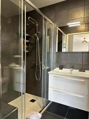 a bathroom with a shower and a sink at Torriciola location Genovese in Ajaccio