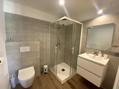 a bathroom with a shower and a toilet and a sink at Studio Corse entre mer et maquis cala rossa in Lecci