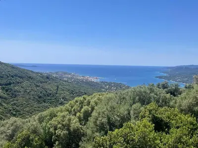 a view of the ocean from a hill with trees at Villa d'architecte avec vue mer imprenable et piscine chauffée in Viggianello